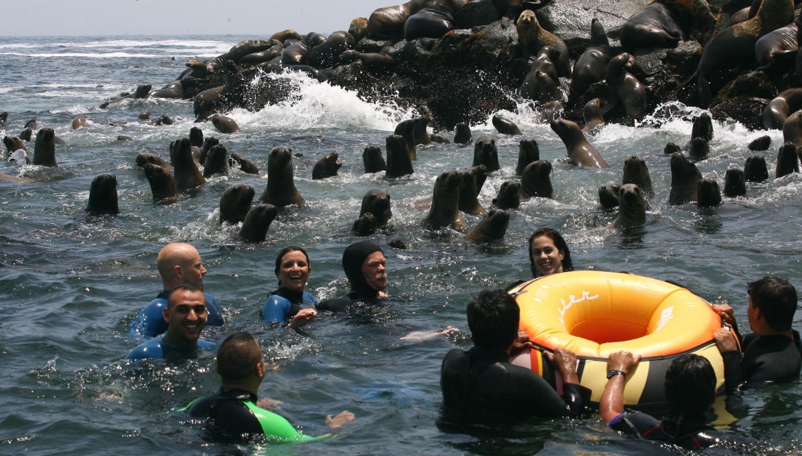 Tour Islas Palomino