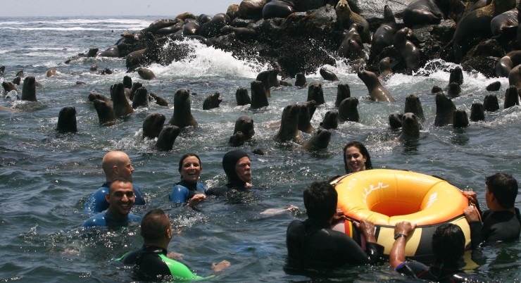 Tour Islas Palomino