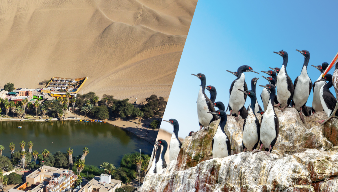 Huacachina – Islas Ballestas