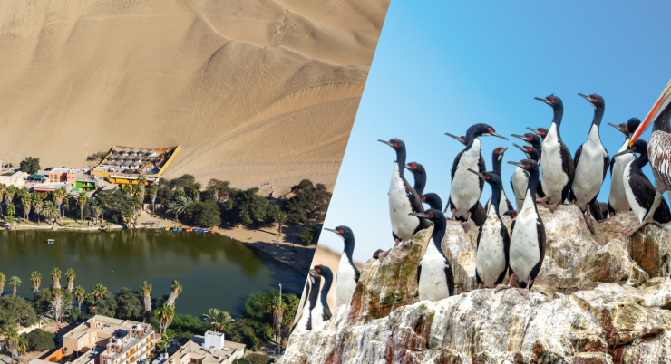 Huacachina – Islas Ballestas